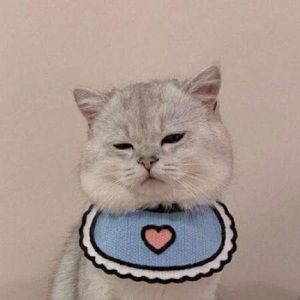 Meet your Posher, Charles